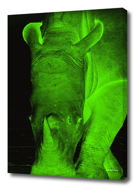 Rhino neon green 6085