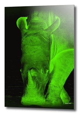 Rhino neon green 6085