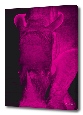 Rhino neon magenta 6085