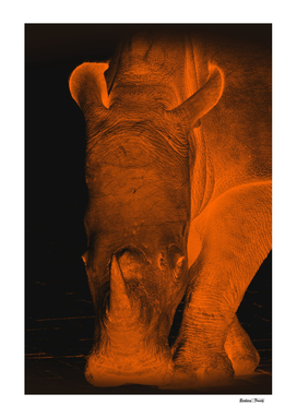 Rhino neon orange 6085