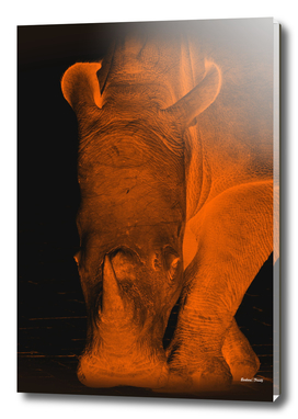 Rhino neon orange 6085