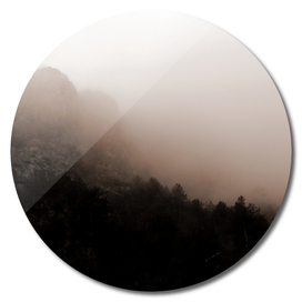 Dark foggy forest background landscape photography
