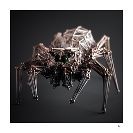 Abstract Spider