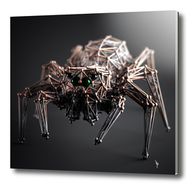Abstract Spider