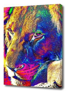 Lion Male Portrait thula-art