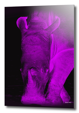 Rhino neon purple 6085