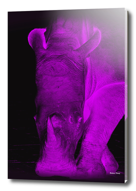 Rhino neon purple 6085