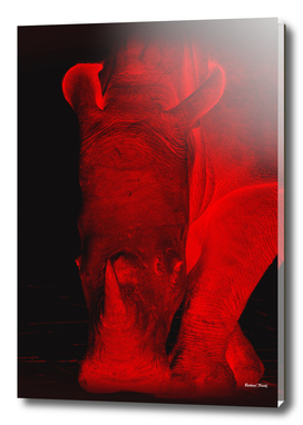 Rhino neon red 6085