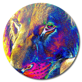 Lion Male Portrait thula-art