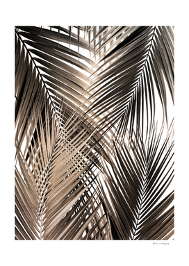 Golden Brown Palm Leaves Dream - Cali Summer Vibes #1