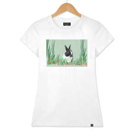 rabbit_black_white_grass