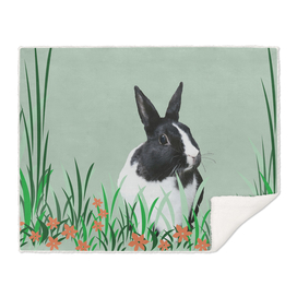 rabbit_black_white_grass