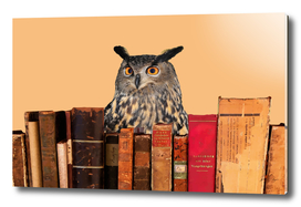 books_owl_beige