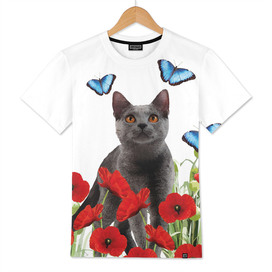 cat_poppies_butterfly