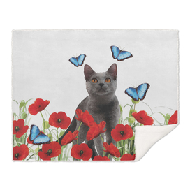 cat_poppies_butterfly