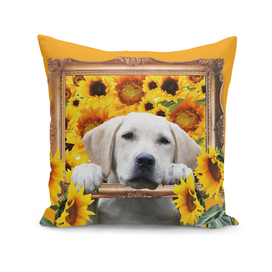 golden_retriver_frame_sunflowers