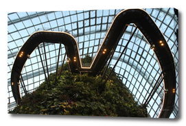 The cloud forest, Singapore's Gardens in the Bay
