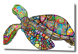Boho Sea-Turtle