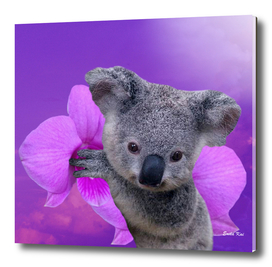 Koala and Orchid