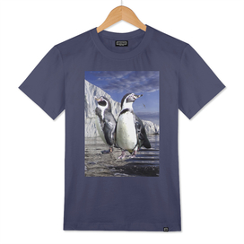 Penguins and Glacier