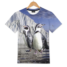Penguins and Glacier