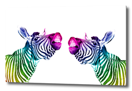rainbow_zebra