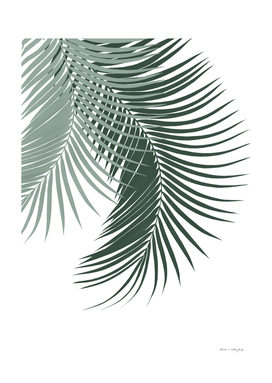Palm Leaves Soft & Dark Green Vibes #1 #tropical #decor #art