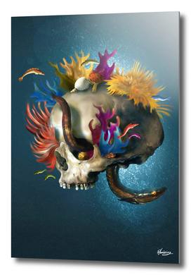 Skull Reef