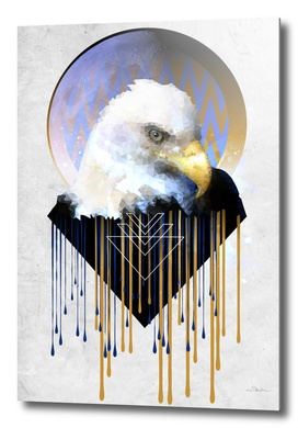 Wise Eagle