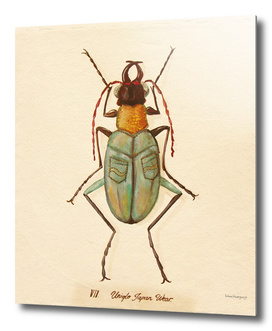 Bug #9