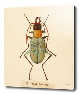 Bug #9