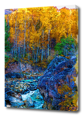 Autumn Foresty Vibe Aspen USA