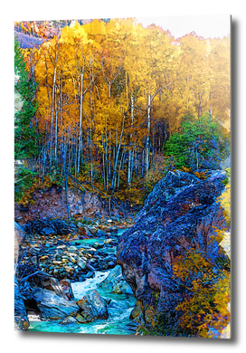 Autumn Foresty Vibe Aspen USA