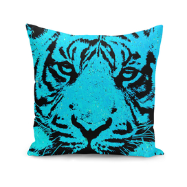 Tiger blue