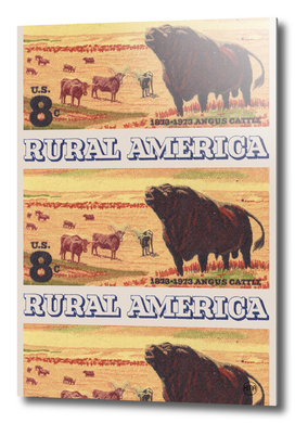 Rural America vintage US post stamp