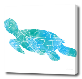 Little sea turtle