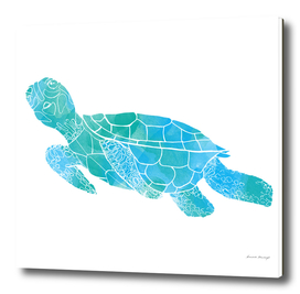 Little sea turtle