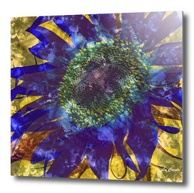 Sunflower abstract