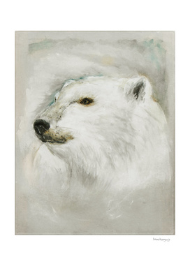 Arctic Bear