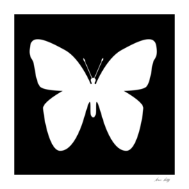 Butterfly Shape