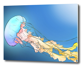 Multicolored Jellyfish