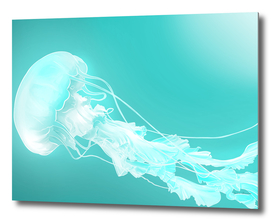 Gost jellyfish