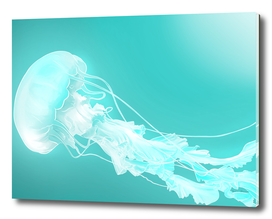 Gost jellyfish