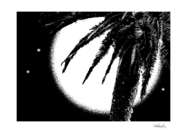 Black and White Tropical Moonscape Illustration