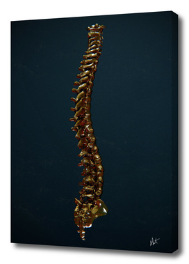Spinal Goldfection