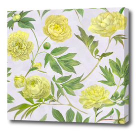 Yellow Peony Floral