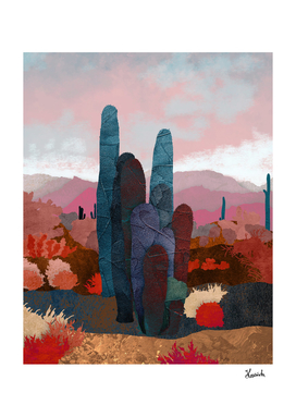 One cactus