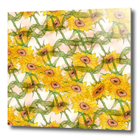 Sunflower's shindig