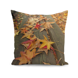 Autumn - Leaf On the bench