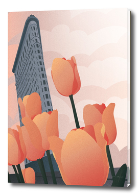 Flatiron Building Tulip